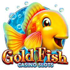 골드피쉬카지노 안전하고 즐거운 온라인 카지노 가이드 골드피쉬카지노 안전하고 즐거운 온라인 카지노 가이드